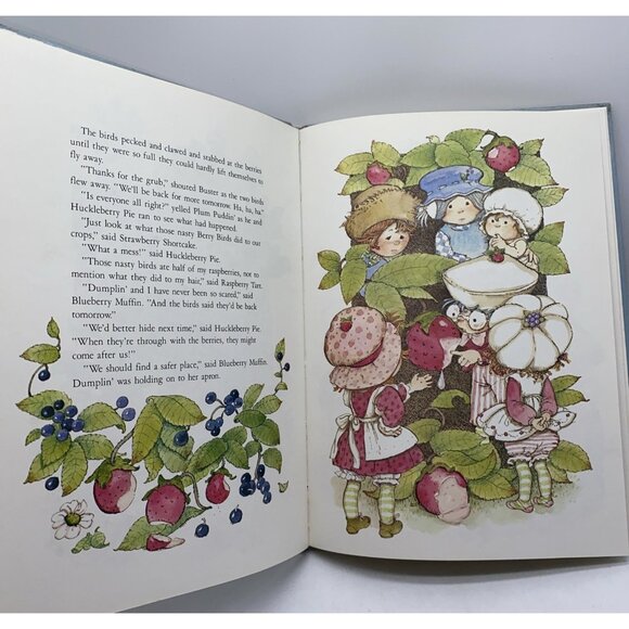 The Adventures of Strawberry Shortcake and Her Friends Hardcover 1980 - Picture 4 of 14